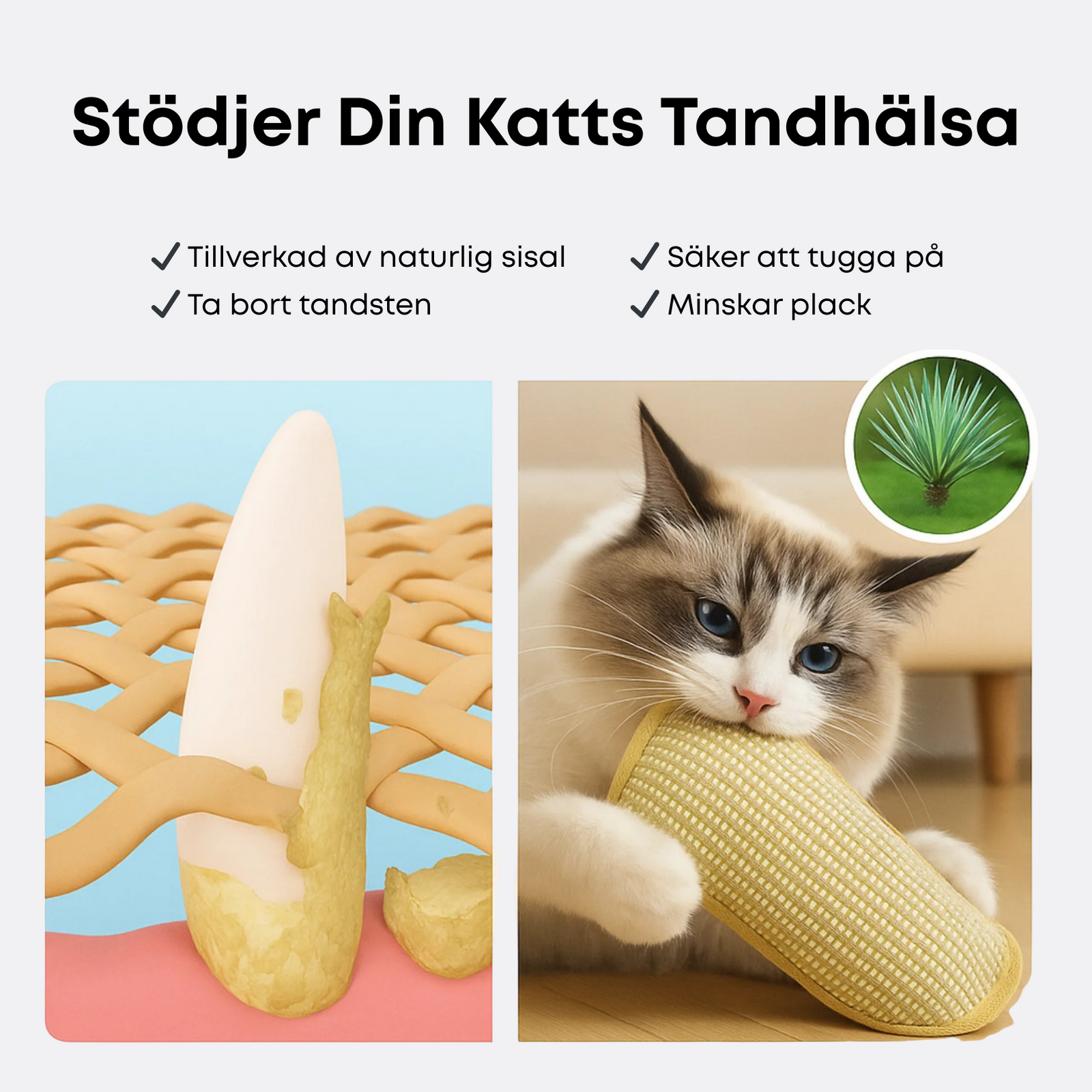 Mer än bara