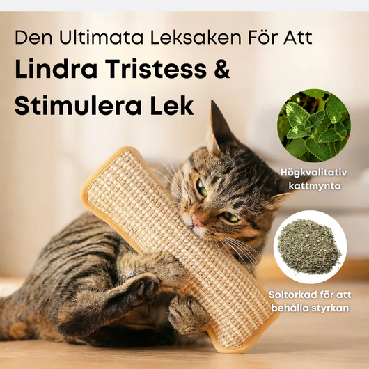 ChewLuxe™ - Tugga för renare tänder