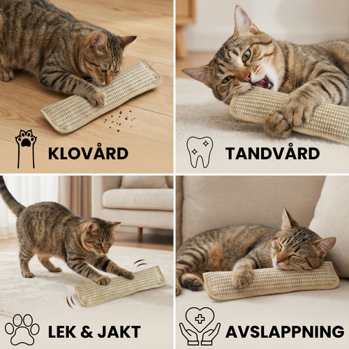 ChewLuxe™ - Tugga för renare tänder
